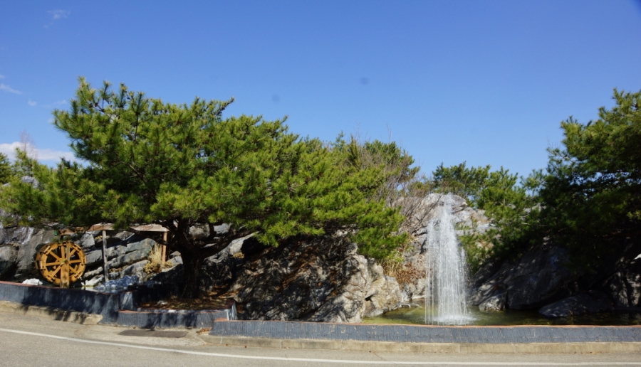 문경대학교 보도자료_봄꽃4.JPG