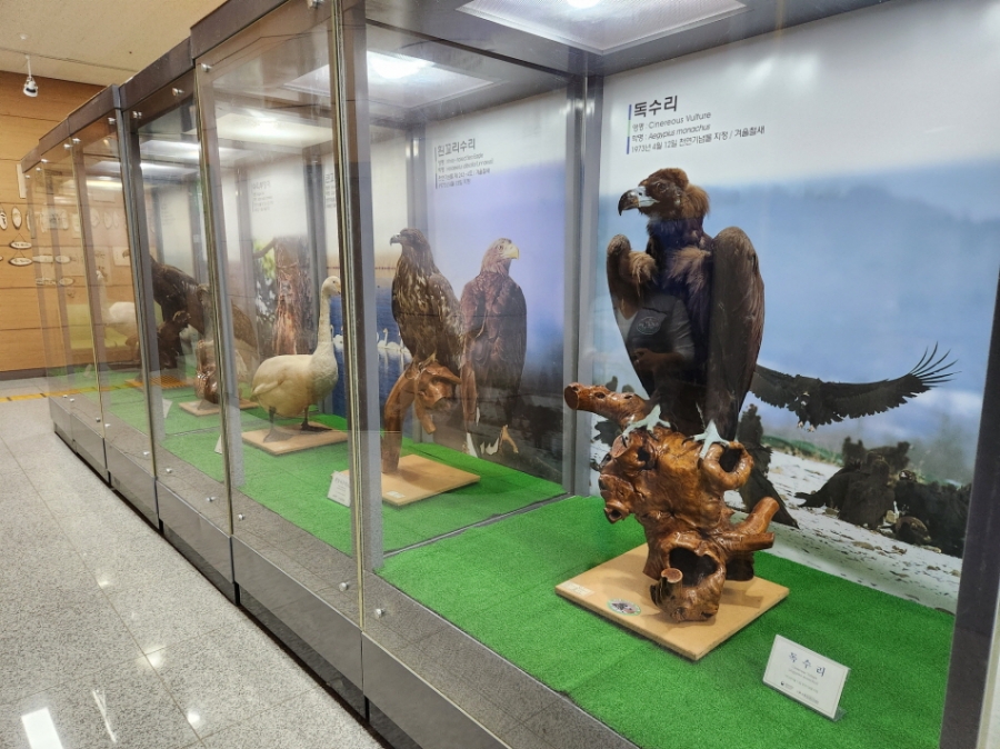 한국조류보호협회 행사2.jpg