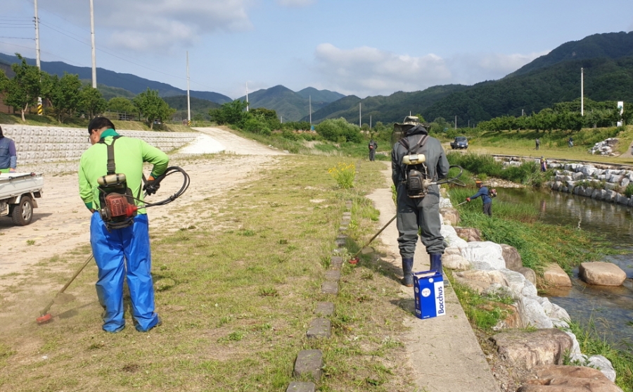 0605 읍면동 사진자료 1(동로면 농업경영인회 손님맞이 도로변 환경정비 실시)-동로면 (2).jpg