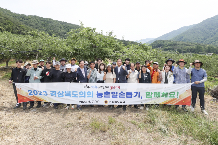 경북도의회 농촌일손돕기 사진.JPG